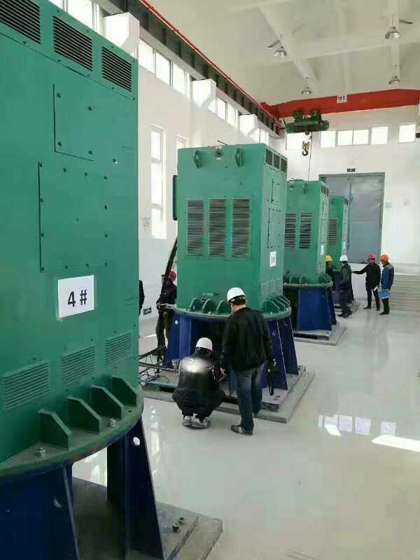 昌江某污水处理厂使用我厂的立式高压电机安装现场