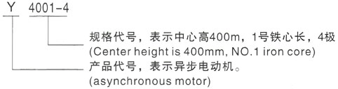 西安泰富西玛Y系列(H355-1000)高压昌江三相异步电机型号说明